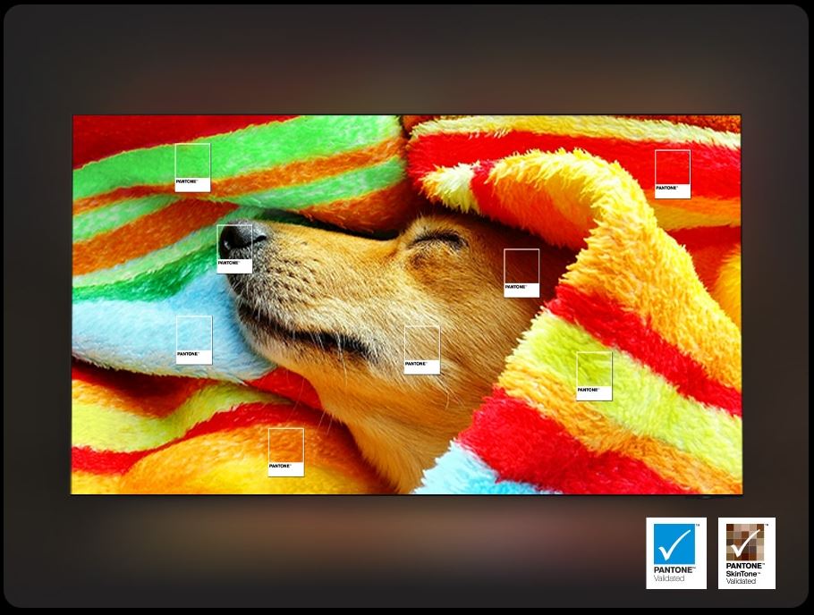 Televisor Smart 55” QLED 4K Q7F